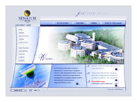 strona www - senator